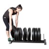 Fitness First Plate Storage