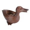 Duck Shaped Planter Resin Waterproof Decorative Animal Flower Pot for