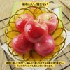 Charmoon Food Samples Apples Fruits Fruit Fake Realistic Full Size