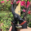 Senshuomy Heavy Duty Garden Secateurs Garden Scissors, Professional Garden Pruning