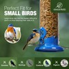 Kingsyard Upgraded Bluebird Feeder for Outdoors Hanging, Metal Mealworm Tube