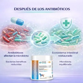 Probiotico Para Perros En Polvo 90g Fancy Pets  Flora Intestinal  Apoyo digestivo natural  Enzimas Digestivas                                         