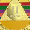 11 Month Sobriety Coin Gifts Set | Alcoholics Anonymous Rainbow