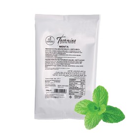 Almar Granita GUSTO MENTA Senza Glutine Senza Glicerolo - CONFEZIONE BUSTA 700G
