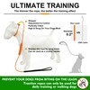 BeauGo| Slip Leads for Dogs | Dog Training Leash |