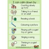 I Can Calm Down Poster - ASD / Autism / SEN / Special Needs Social Communication Visual Aid