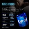 HALEO HMB RAPTOR HMB-FA Next Generation Liquid Type, Alpha GPC,