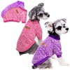 2 Pack Dog Sweaters for Small Dogs - Warm Winter