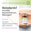 Lactasan Intestinal Restoration for Natural Regulation and Preparation of Intestinal