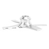 Replacement Paddle Blade for NC101 NC201 NC205 NC300 NC301 Stainless
