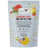 Tea People Bombay Chai - 50 Pyramid Refill Pack