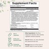 Micro Ingredients Mega Probiotics 200 Billion CFU, 120 Veggie Capsules