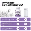 Lunza Lunza Goat Colostrum Capsules - Grass Fed, Rich in