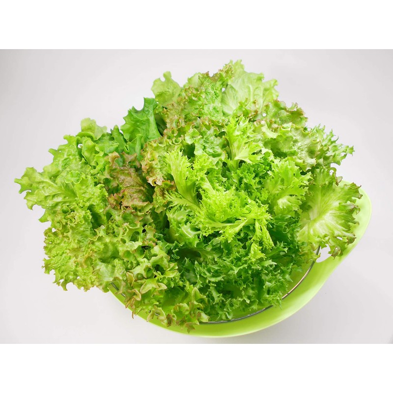 [No Need to Wash Vegetables] 6 Items "Random Set" Super
