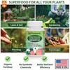 Organic Peace Lily Elixir by Gardenera - 32 oz -