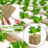 Rock Wool Cultivation 50 Pieces Rock Wool Cube Rock Wool