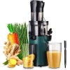 Sovider Slow Juicer Machine Masticating Cold Press Juicers Squeezer Vegetable