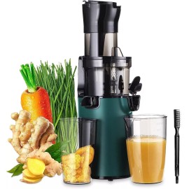 Sovider Slow Juicer Machine Masticating Cold Press Juicers Squeezer Vegetable Processor