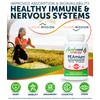 Palmitoylethanolamide 450mg Comfort Mobility Nerves Cognitive & Immune Support -