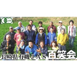 Onion Leather Tea Organic Onion Tea Bag Made in Nagasaki Mail-bin