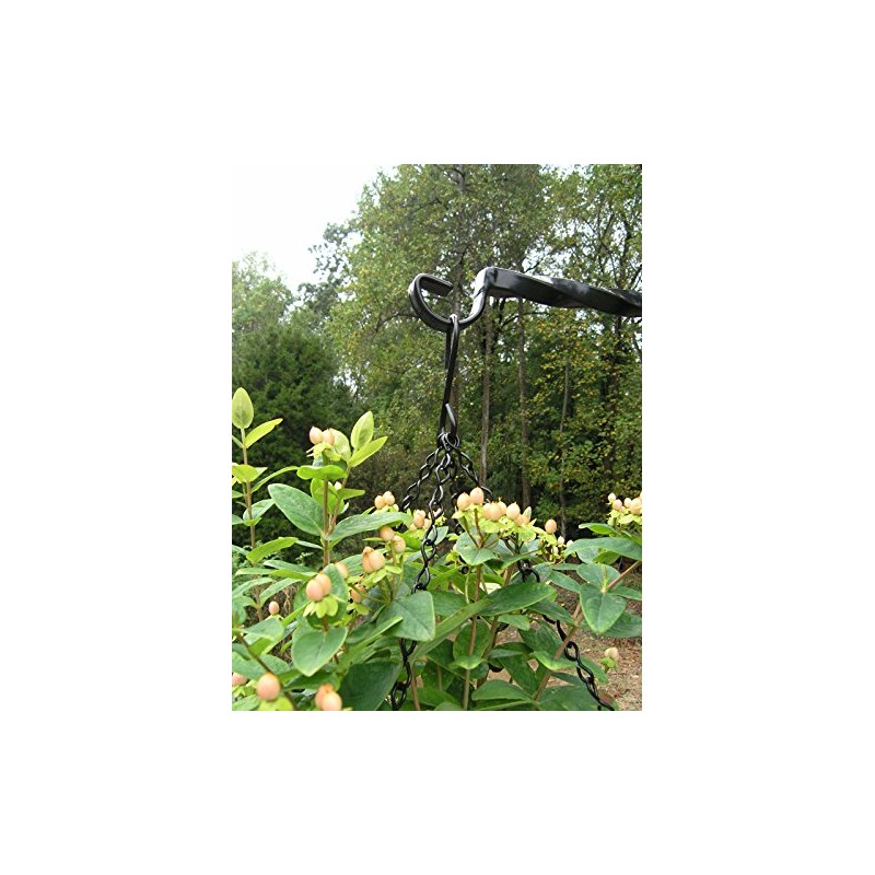 Garden Artisans 14 in Bellus Hanging Basket - 2 Pack