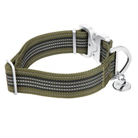 Martingale Collar Extra Strong Nylon Dog Collar, No Pull Heavy Duty Dog Collar for Medium to XLarge Dogs (Large, Green)