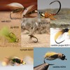 100pcs Eupheng Plus Best Barbless Competition Fly Fishing Hook Collection,