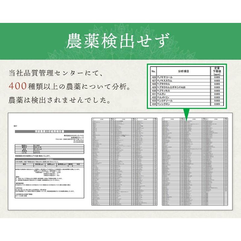 SPANION ターメリックパウダー 100g 無農薬栽培 自社農薬検査合格 国内製造 ウコン 粉末