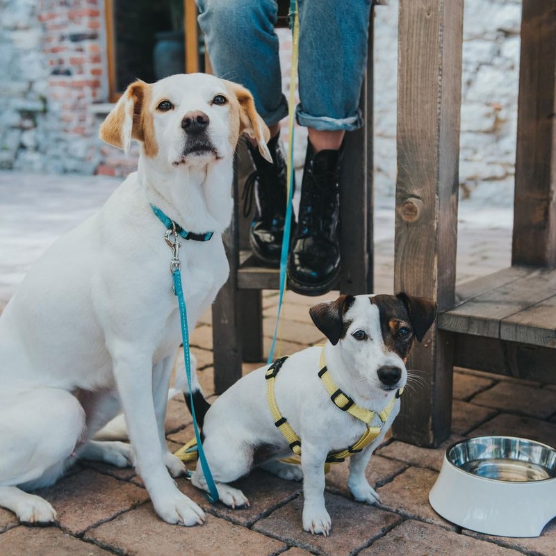 Tripoli Adjustable Lead Orange Size 10/200