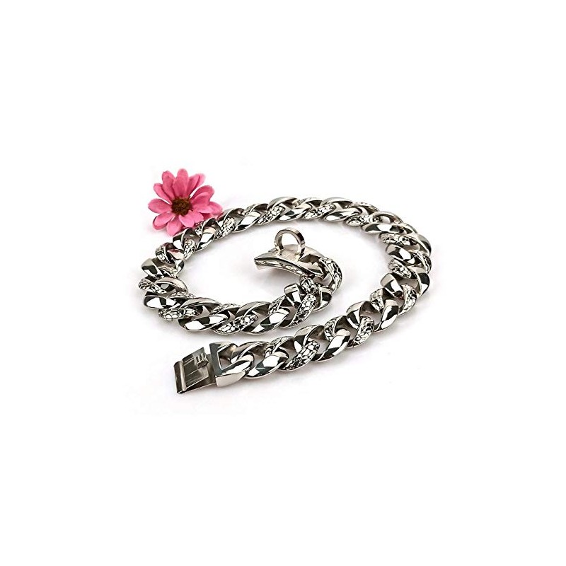 Correas básicas para Perros Collar de Perro Grande de Acero