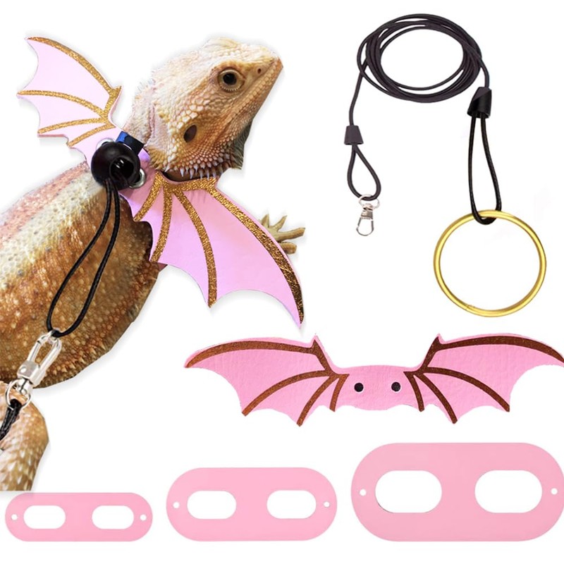 CoguZed Bearded Dragon Leash and Harness Set, Adjustable Lizard Harness