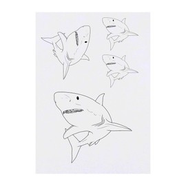 4 x 'Great White Shark' Temporary Tattoos - Water Resistant, Skin-Safe, Non-Toxic Transfers, Mixed Sizes (TO00085108)