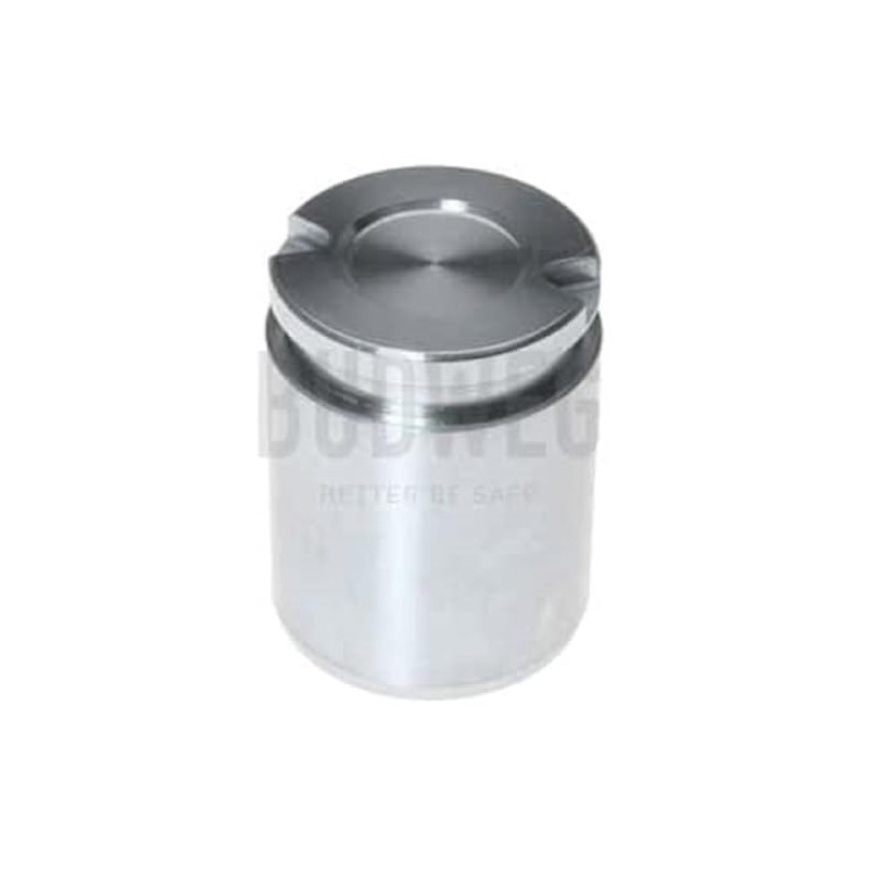 Triscan 8170 233815 Piston, brake caliper