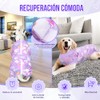 SlowTon Traje de Recuperación para Perros Macho Hembra, Camisa Recuperación