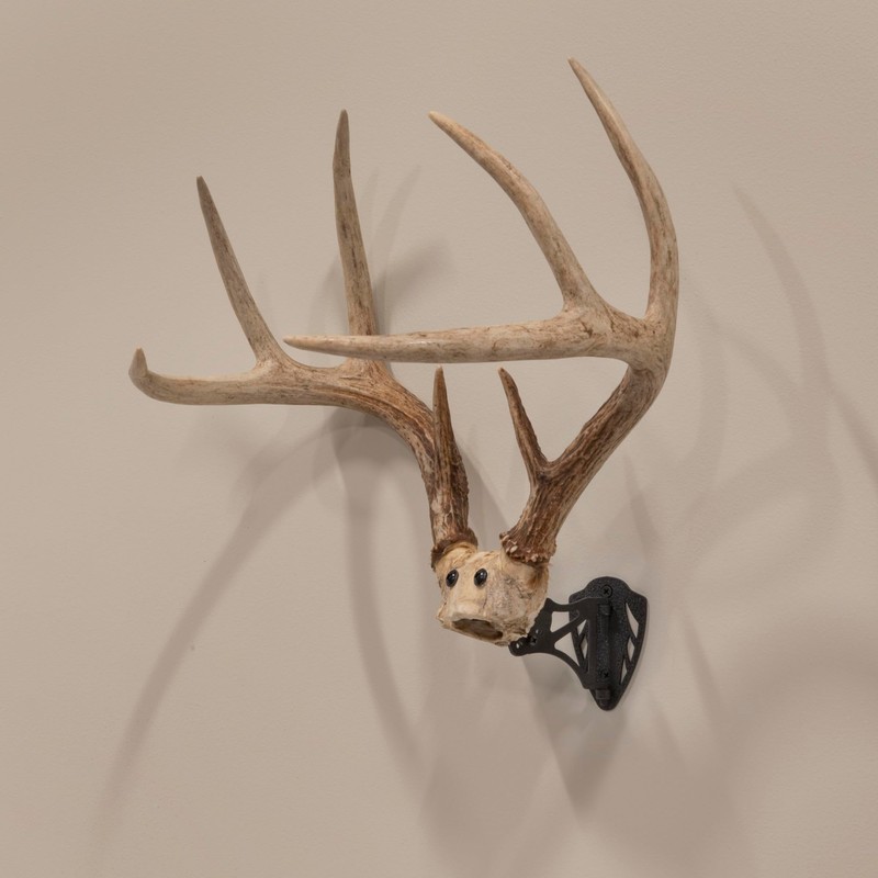 Allen Company EZ Mount Horn Bracket, Brown