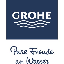 GROHE 26409000 26409 Tempesta 210 Showerhead, StarLight Chrome