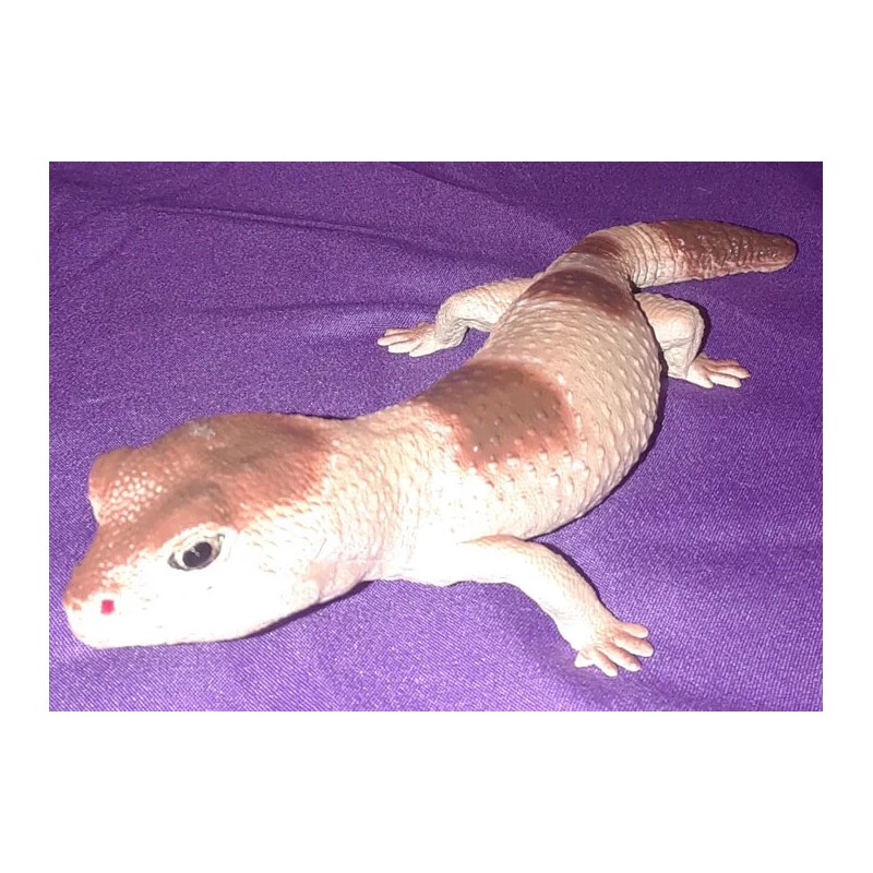 AAA African Fat Tailed Gecko Replica - AAA