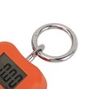 Portable Electronic Scale High Accuracy Digital Hanging Scale 200kg Weight
