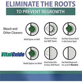 Vital Oxide Vital Oxide Disinfectant, Deodorizer, Cleaner, Food-Contact Sanitizer, Virucide C (EPA registration #82972-1) C Kills Mold & Mildew, Eliminates Odors-1 Gallon