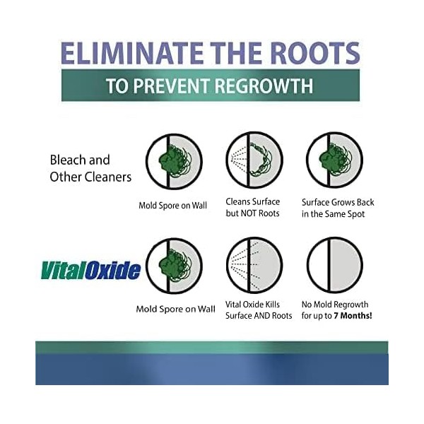 Vital Oxide Vital Oxide Disinfectant, Deodorizer, Cleaner, Food-Contact Sanitizer, Virucide