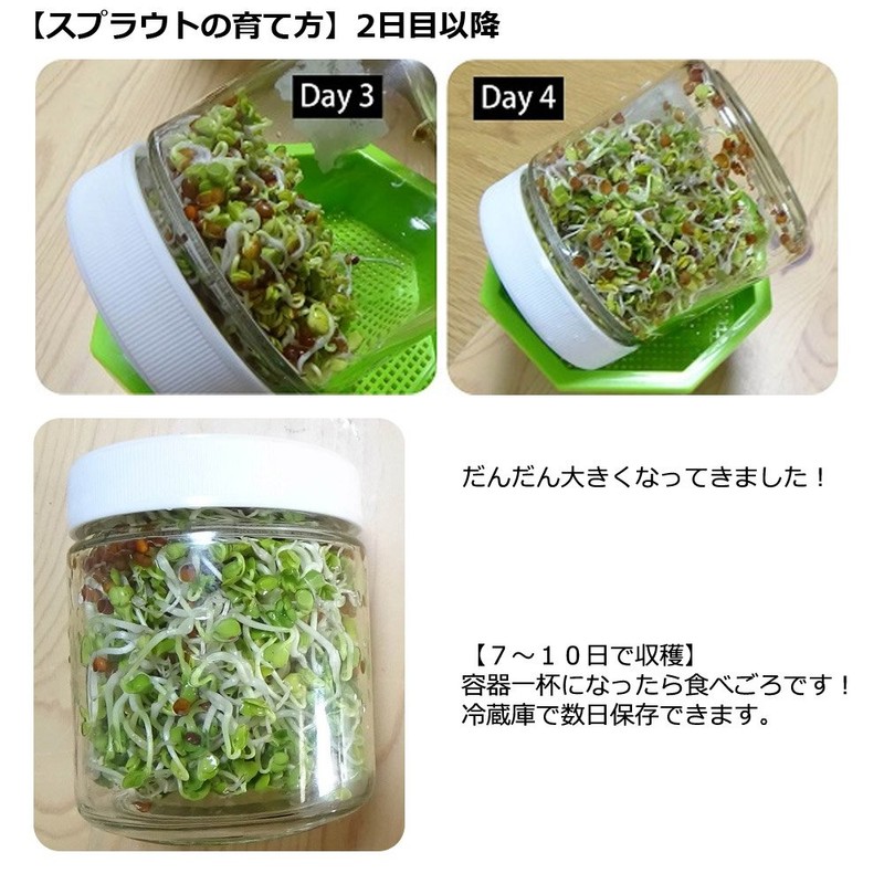 Green Field B006 Sprout Cultivation Set My Sprout (Bean Sprout