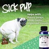 Pup Oils Sick Pup Essential Oil for Dogs Aromatherapy Treatment