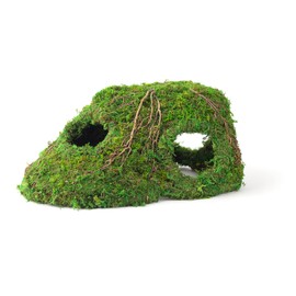 Galápagos (05370) Mossy Sapa Corner Hide, 10 in. x 5.5 in.