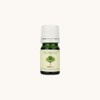 Skinbolic Tea Tree Oil 5ml / 스킨볼릭 티트리 오일 5ml