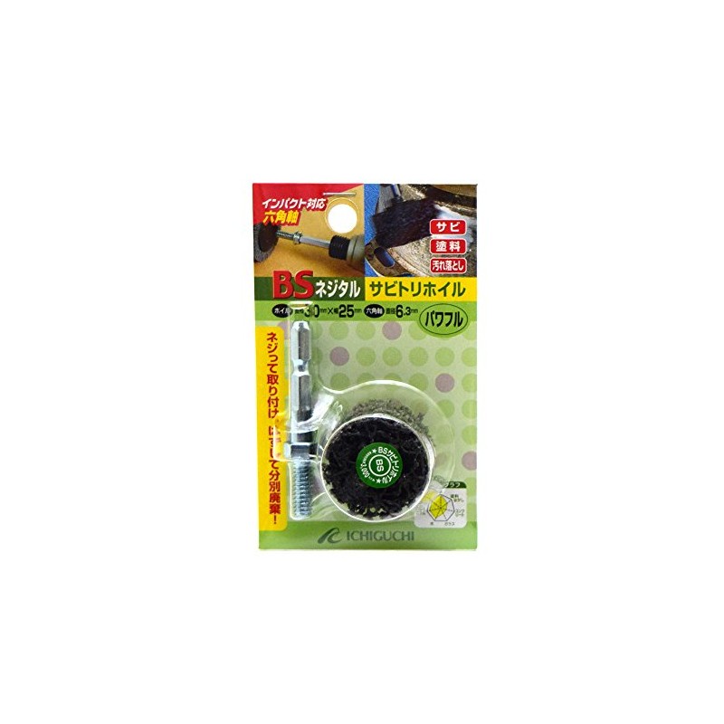 Ichiguchi BS Screw Tal Rustri Foil Hexagonal Shaft 1.2 x