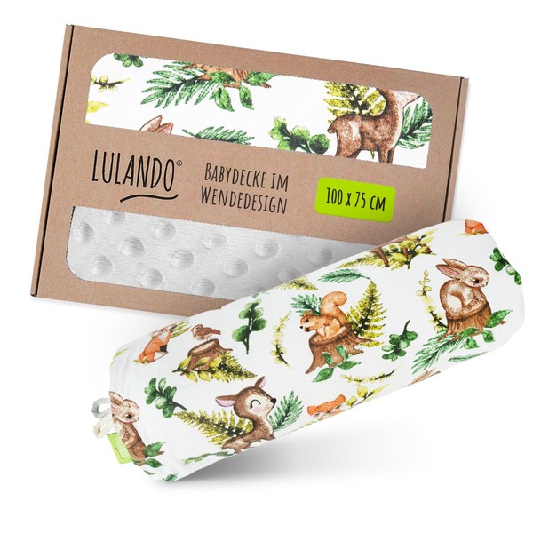 LULANDO® Baby Blanket 100 x 75 cm Cuddly Blanket Crawling