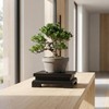 Tofficu 5.9" Black Wood Riser for Decor, Square Bathroom Counter