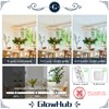 Ring Chandelier LED Wood Grain Round Chandeliers Modern Farmhouse Pendant