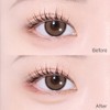 kiss me [Double 5% Coupon][NEW/Gift Promotion] Kiss Me Secret Shading