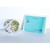 paper balloons globe letter set